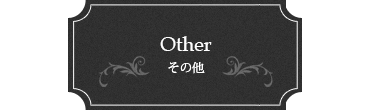 Otherその他