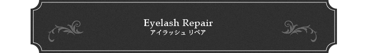 Repair リペア