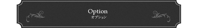 Optionオプション