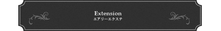 Extension エアリーエクステ