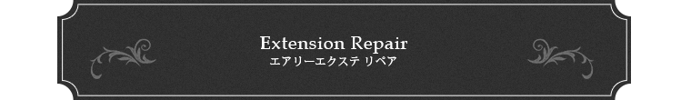 Extension エアリーエクステ リペア