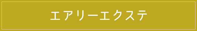 エアリーエクステ