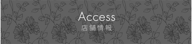 Access 店舗情報