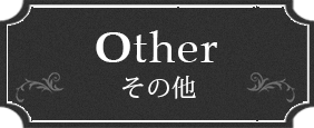 Other その他