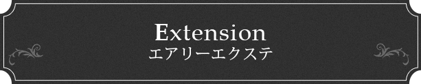 Extension エアリーエクステ
